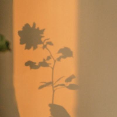武斗苍穹bt游戏变态版下载