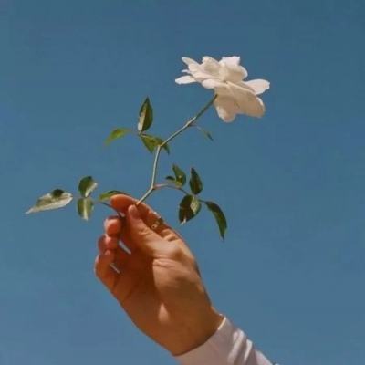 九游无限合战手游下载